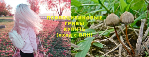a pvp Ветлуга