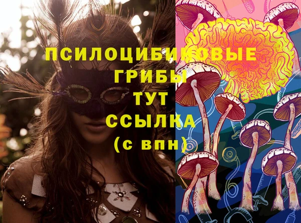 гашиш Вяземский