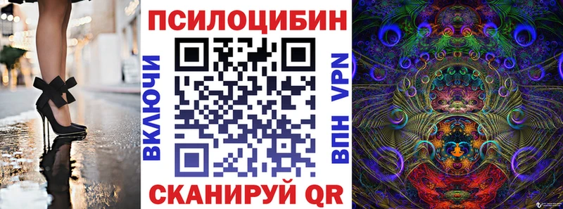 как найти закладки  Дальнереченск  Галлюциногенные грибы Cubensis 